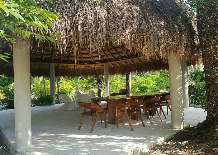 Santuario Jungle
