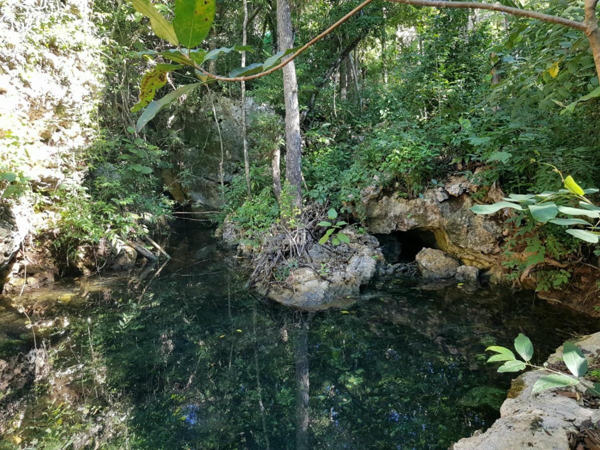 Santuario Jungle Appart hôtel *